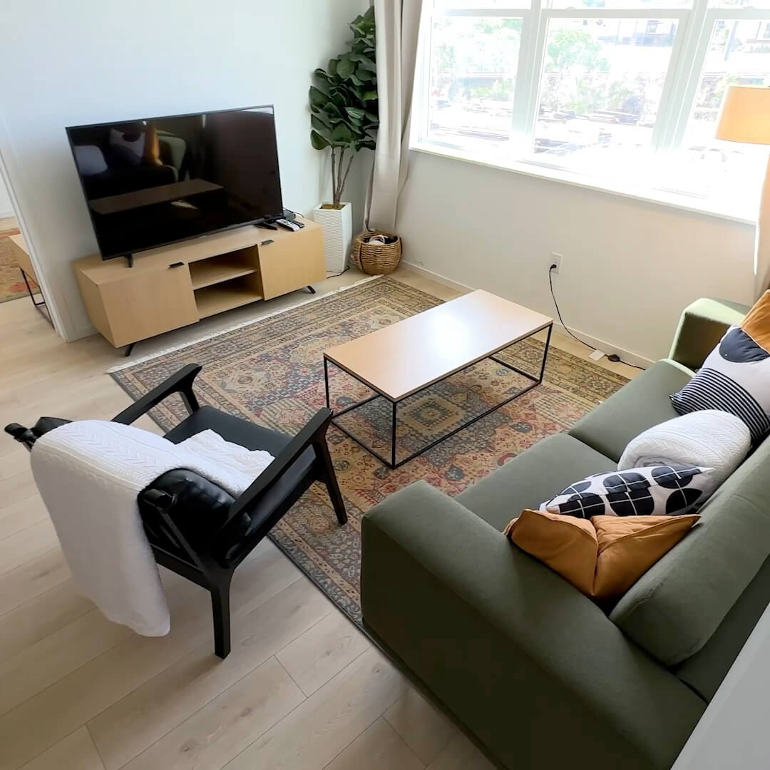 Cozy furnished living room